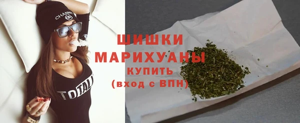 крисы Надым
