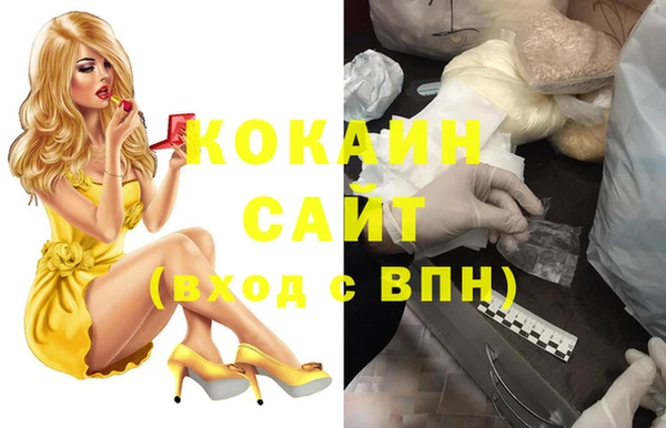 крисы Надым