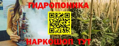 прущие грибы Кимры