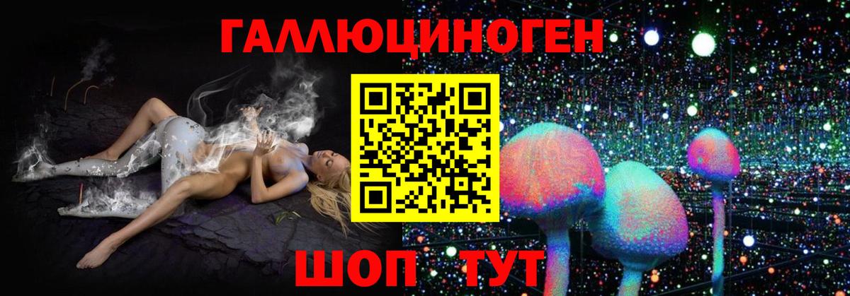 Псилоцибиновые грибы прущие грибы  Мурино  Галлюциногенные грибы MAGIC MUSHROOMS 