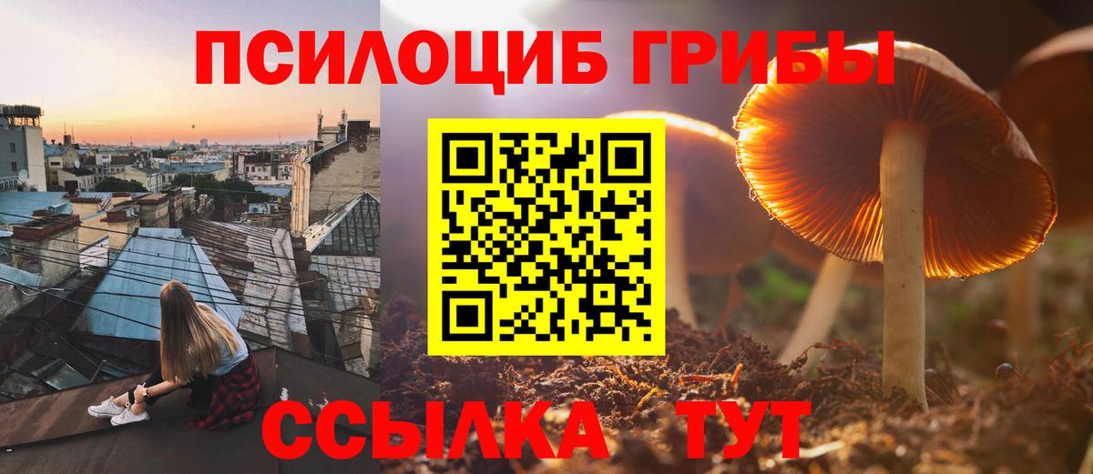 Мурино  Псилоцибиновые грибы мицелий  Вход с VPN 